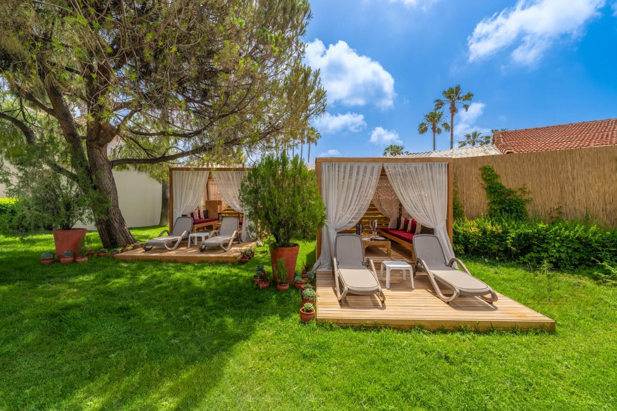 Trendy Palm Beach Adults Only Side Exterior foto